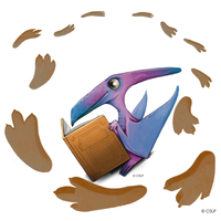 badge