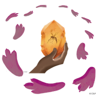 badge